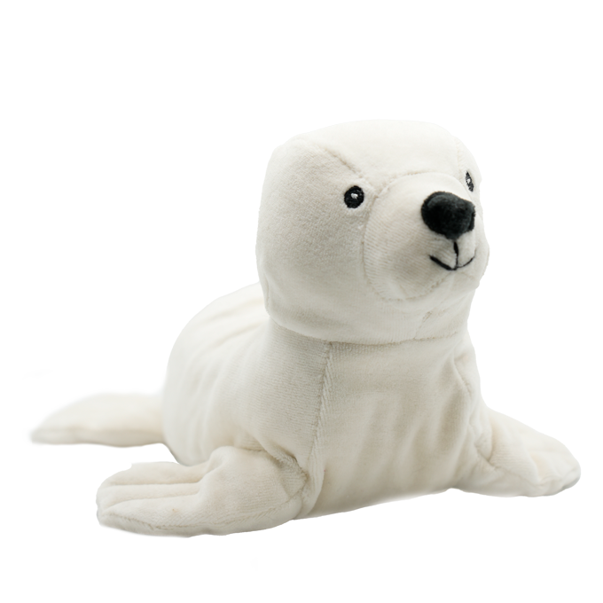 Sebastian der Seehund